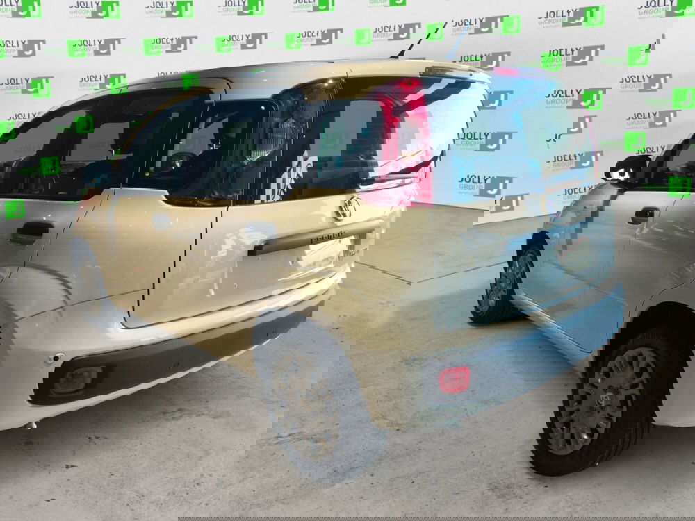 Fiat Panda nuova a Frosinone (4)