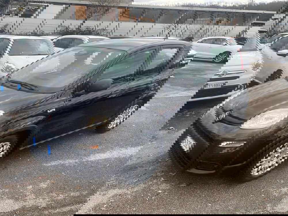 Fiat Panda usata a Frosinone