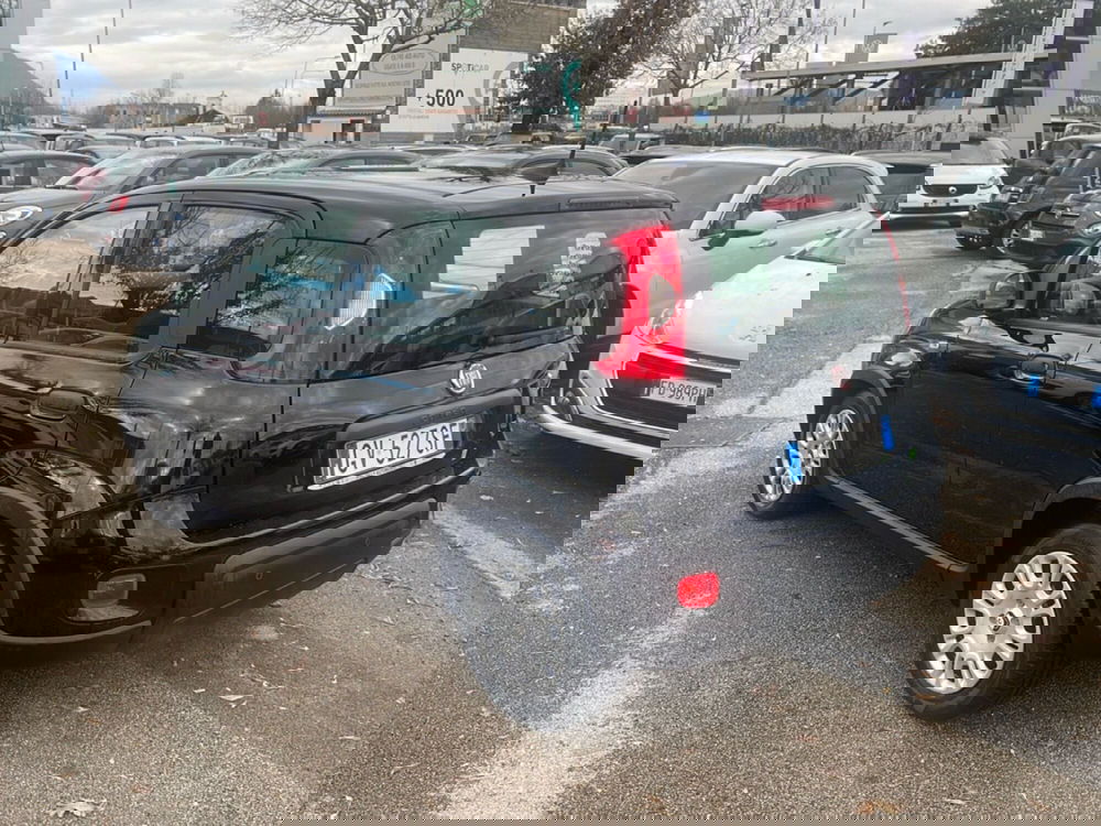 Fiat Panda usata a Frosinone (2)