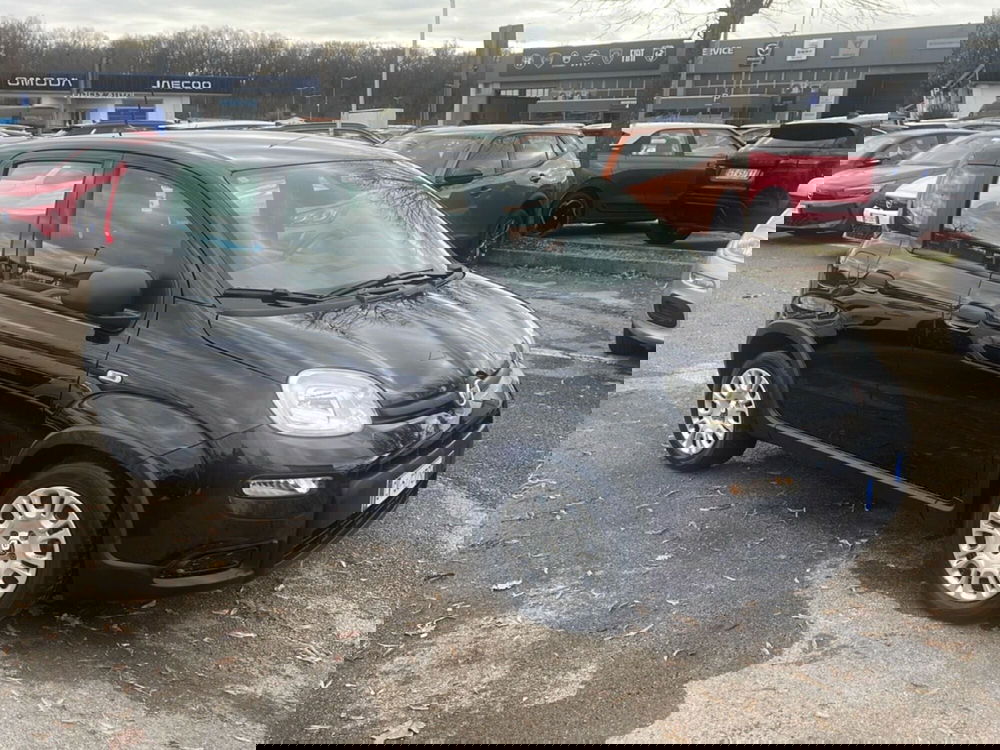Fiat Panda usata a Frosinone (4)