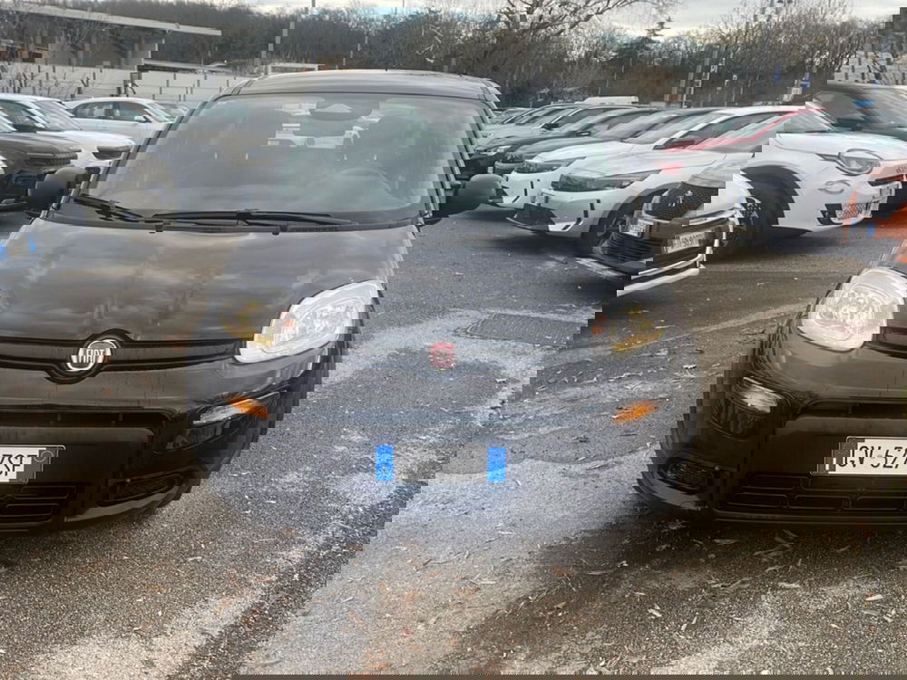 Fiat Panda usata a Frosinone (5)