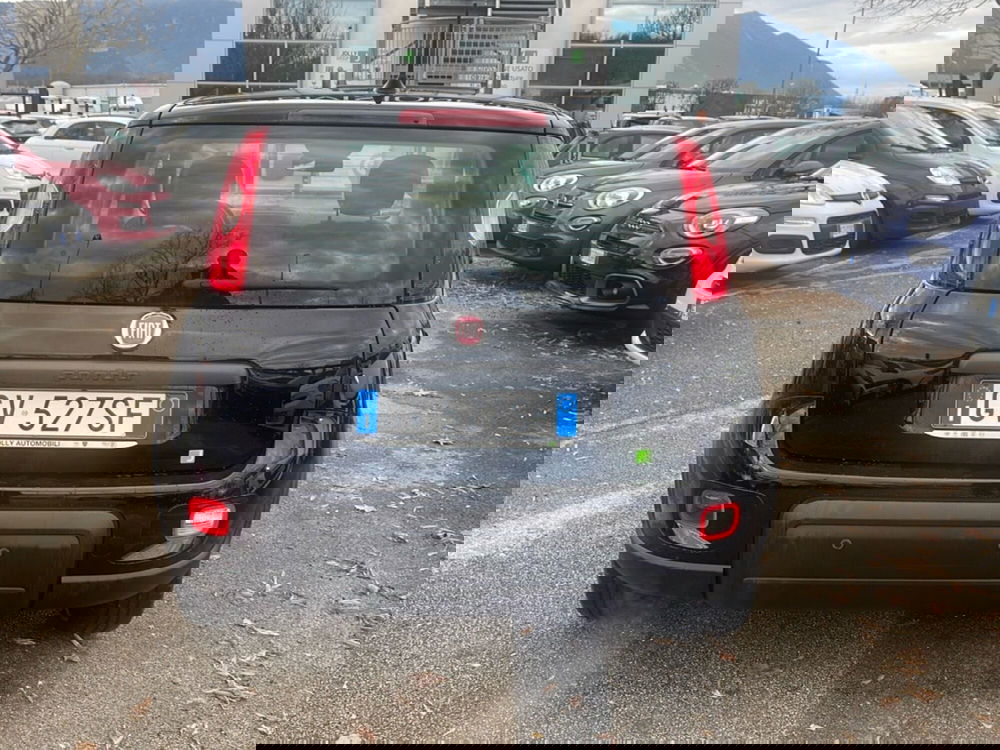 Fiat Panda usata a Frosinone (6)