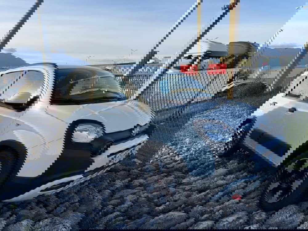 Fiat Panda Cross usata a Frosinone