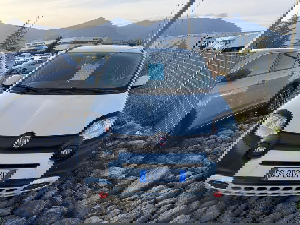 Fiat Panda Cross usata a Frosinone (11)