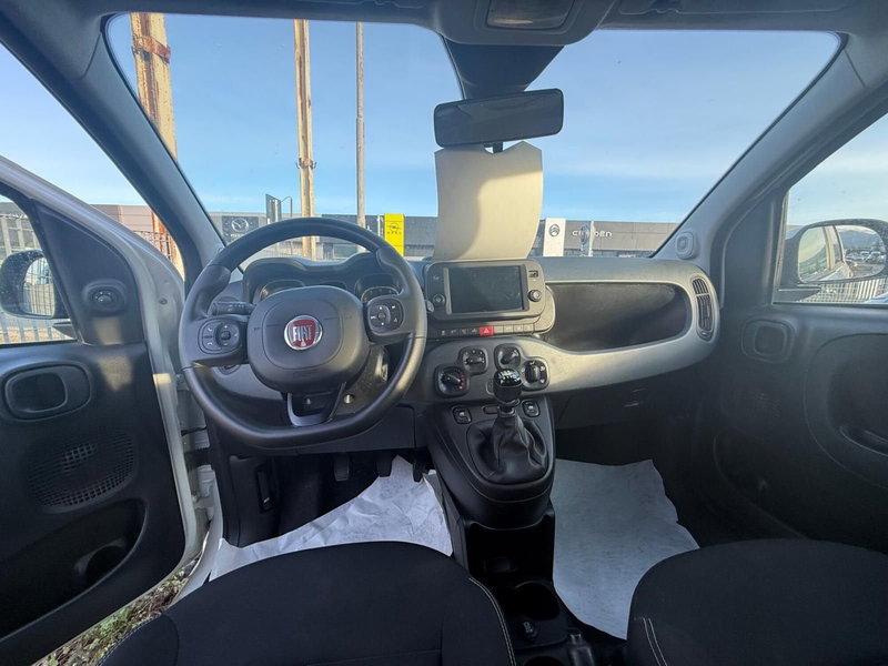 Fiat Panda Cross usata a Frosinone (12)