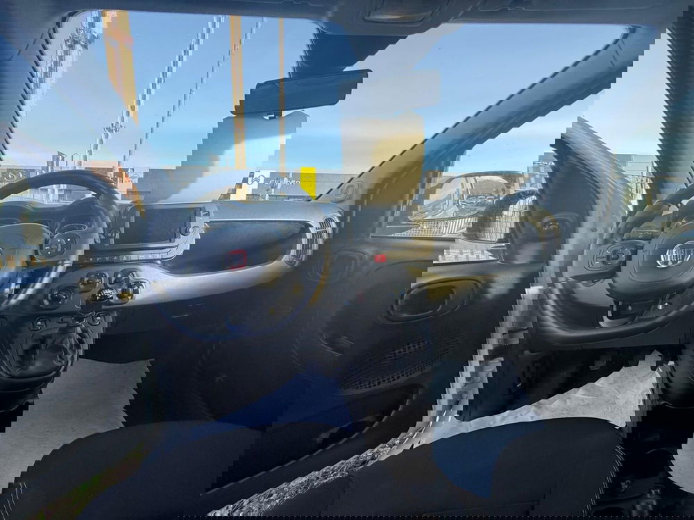 Fiat Panda Cross usata a Frosinone (18)