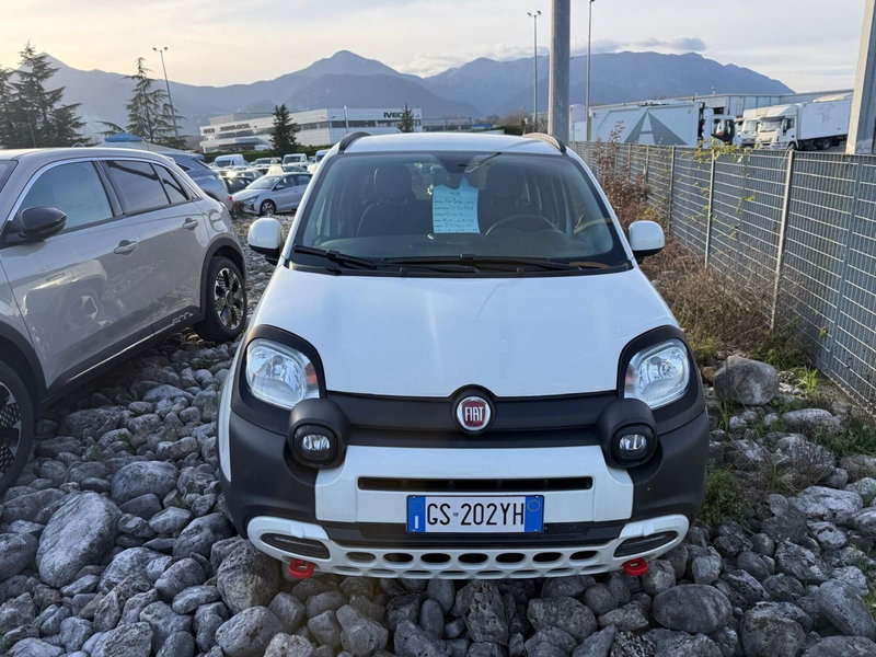 Fiat Panda Cross usata a Frosinone (5)