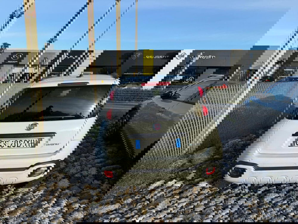 Fiat Panda Cross usata a Frosinone (7)