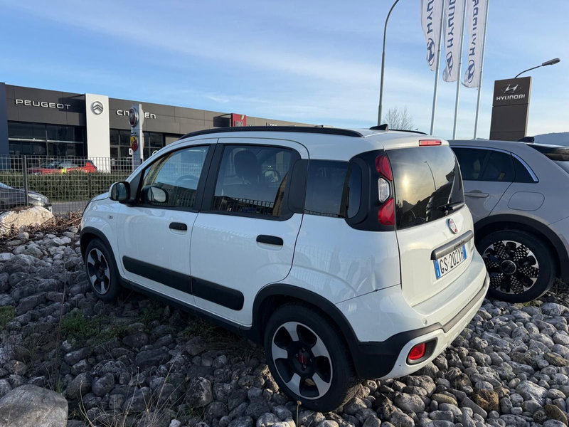 Fiat Panda Cross usata a Frosinone (9)