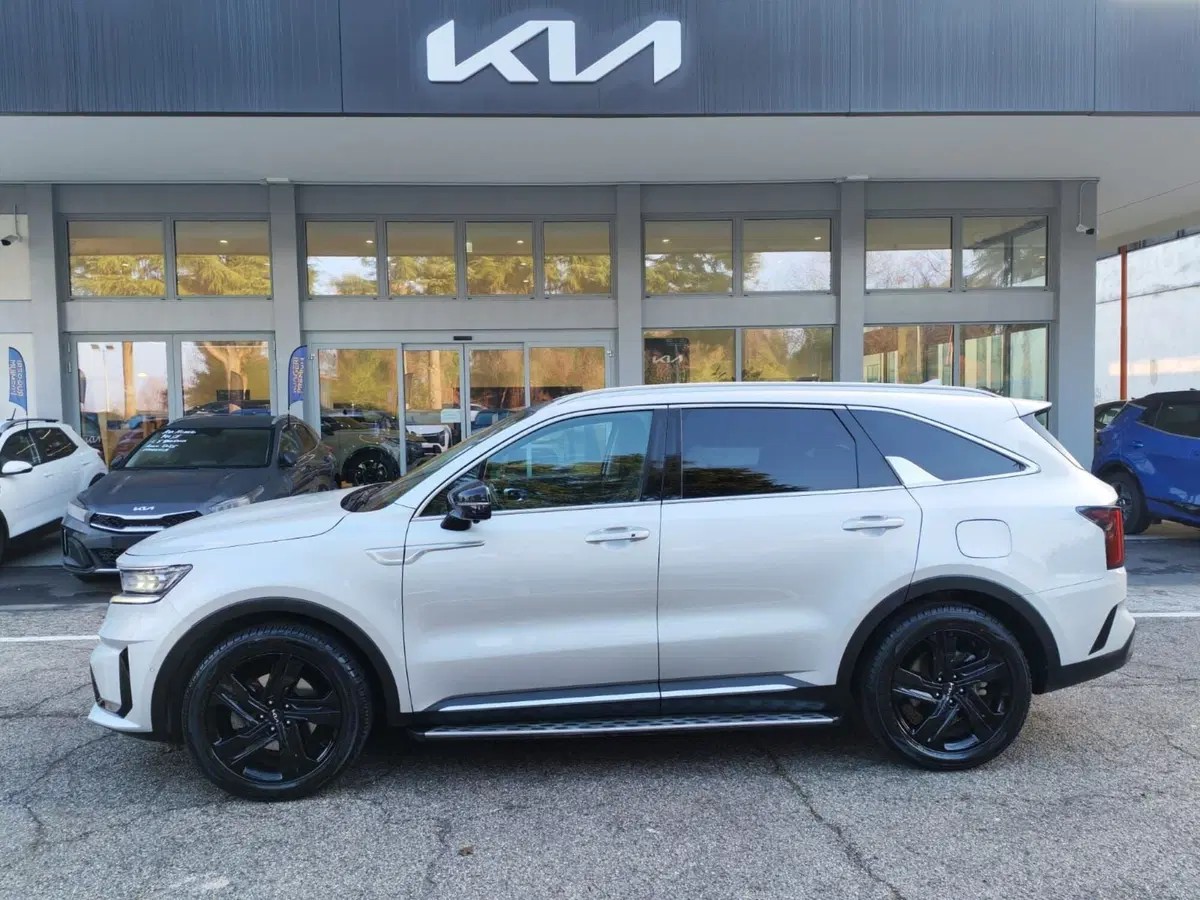 Kia Sorento usata a Rimini (8)