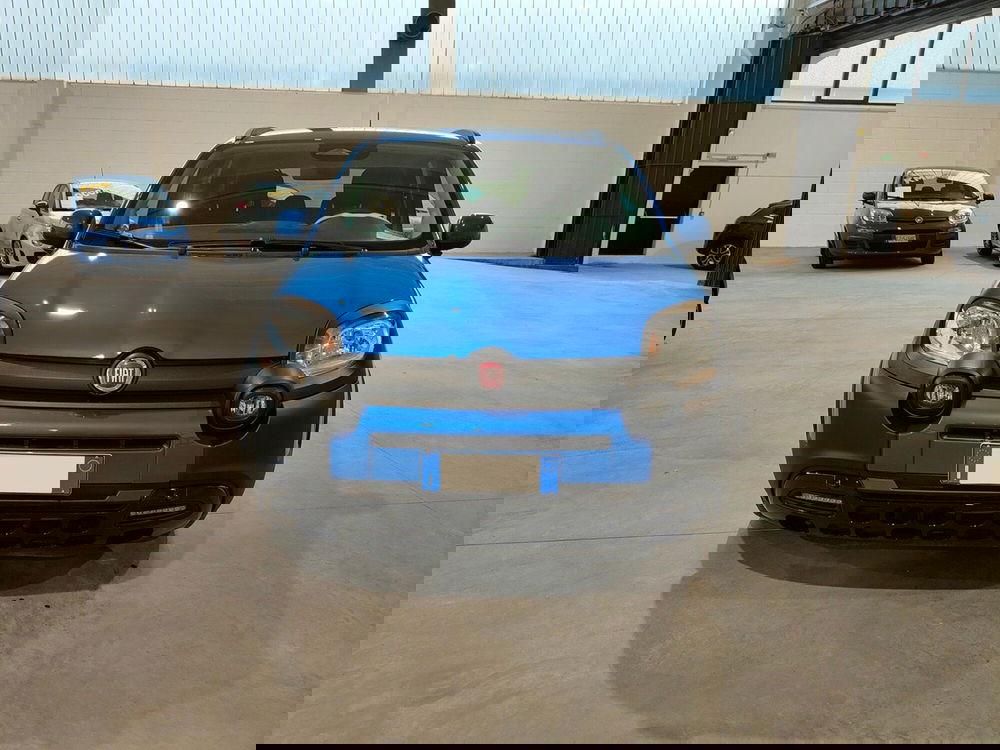 Fiat Panda Cross usata a Torino (2)