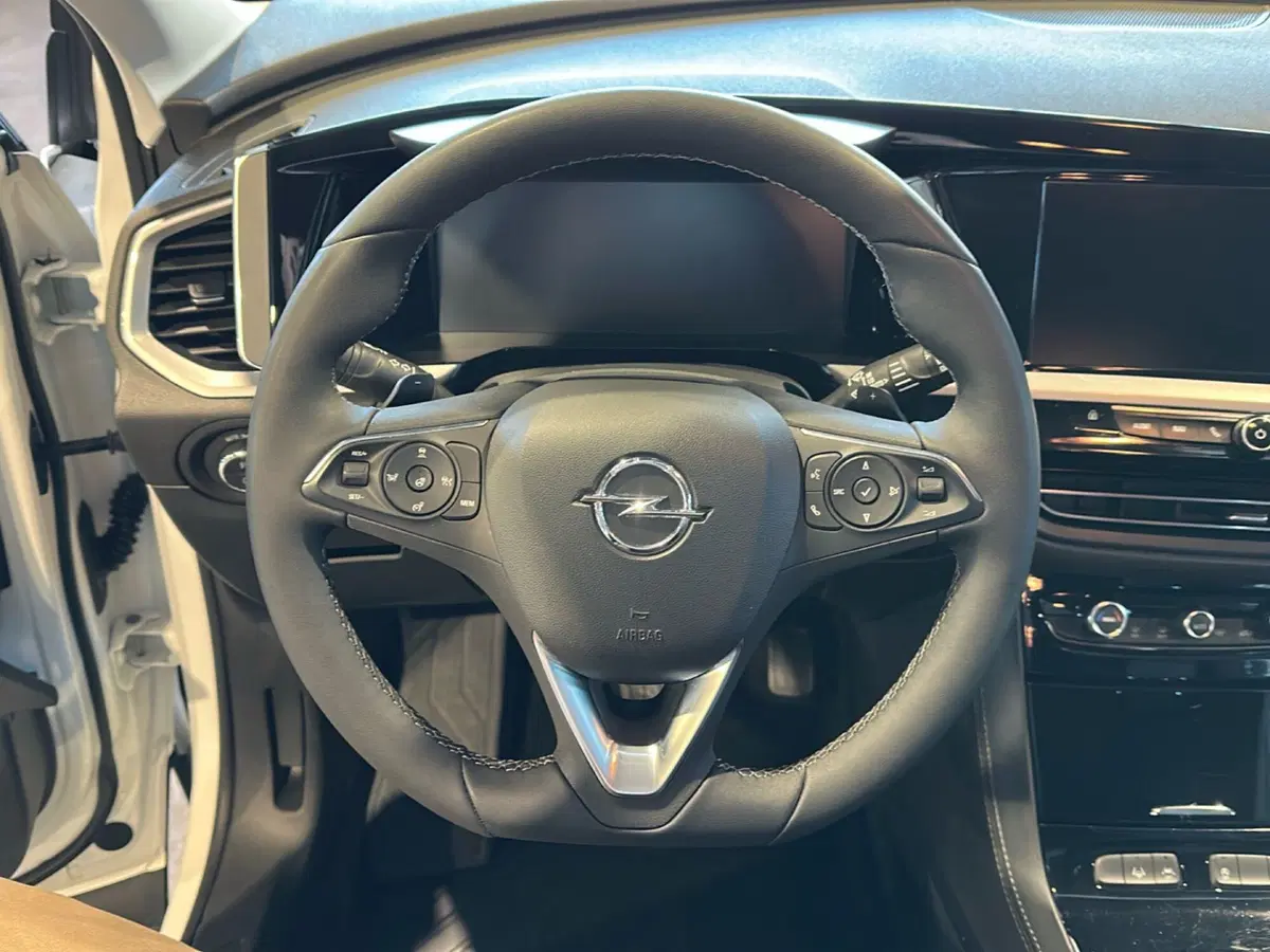 Opel Grandland usata a Vicenza (18)