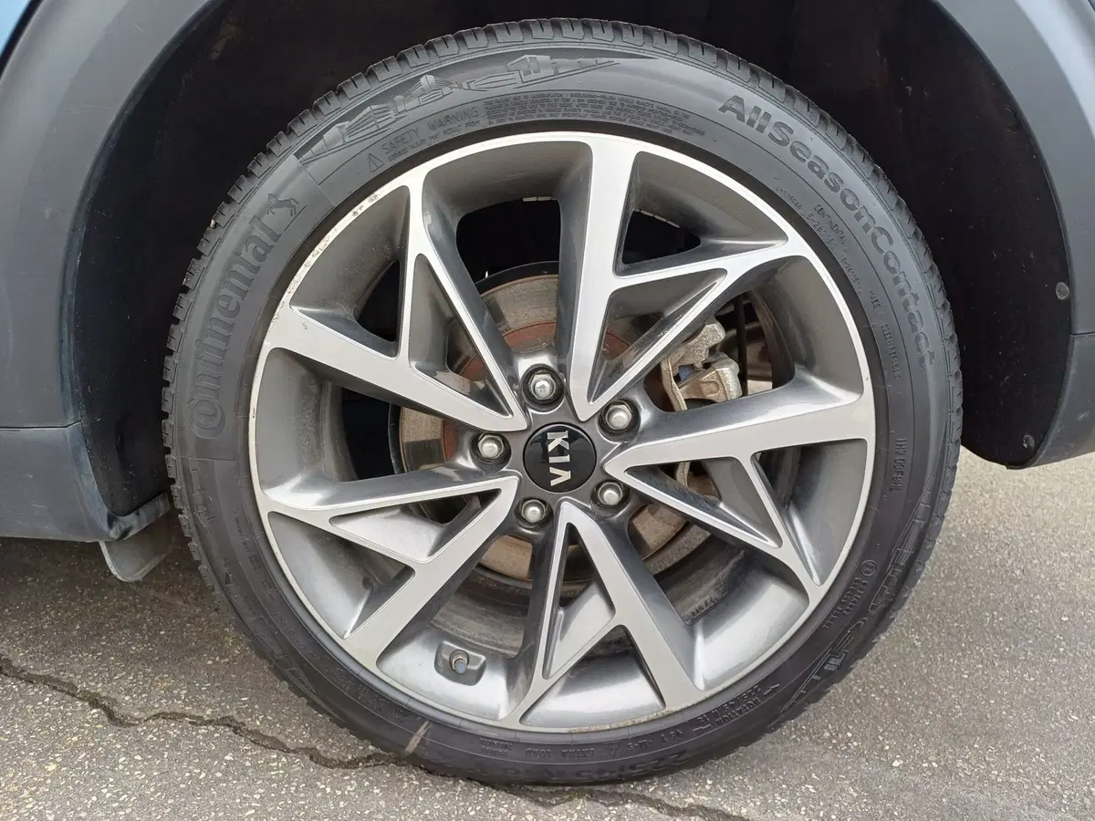Kia Niro usata a Modena (19)