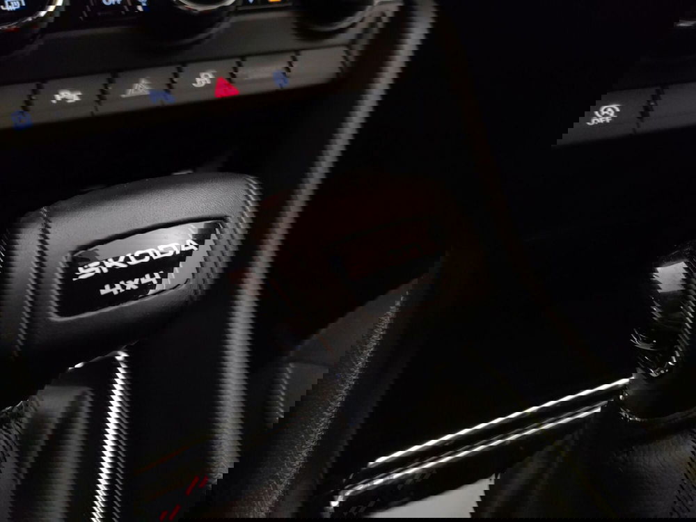 Skoda Karoq usata a Varese (19)