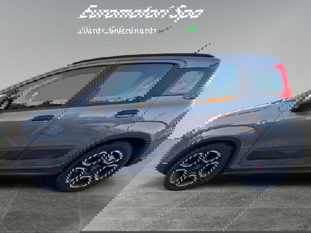 Fiat Panda usata a Siena (2)