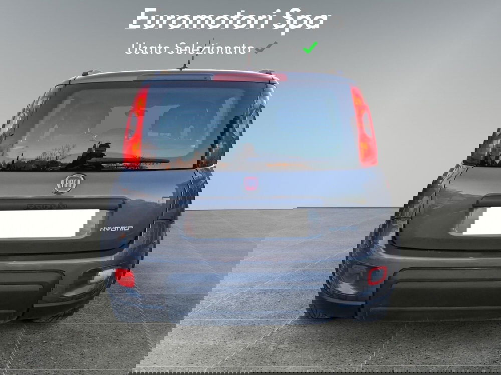 Fiat Panda usata a Siena (4)