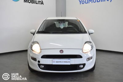 Fiat Punto 1.3 MJT II S&amp;S 95 CV 5 porte Street del 2017 usata a Foligno