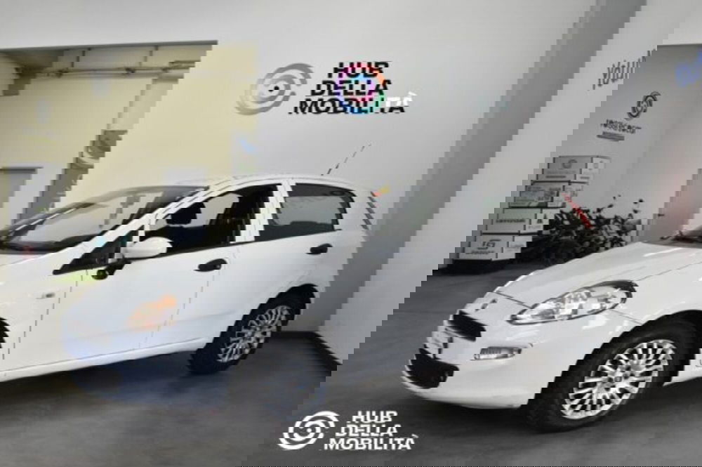 Fiat Punto usata a Perugia (3)