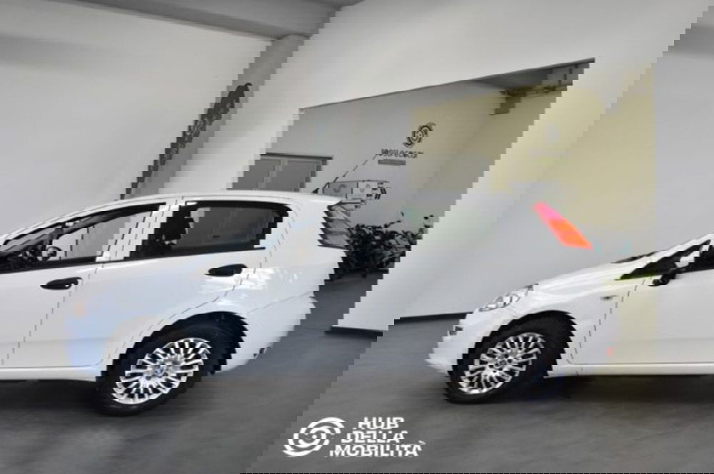 Fiat Punto usata a Perugia (4)