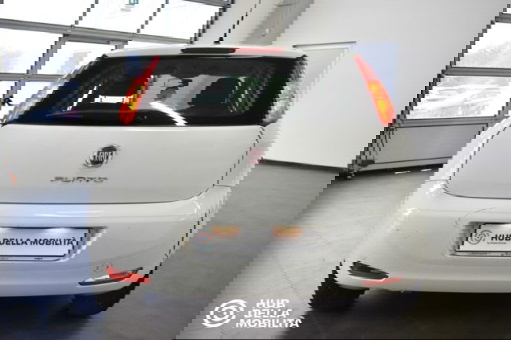 Fiat Punto usata a Perugia (5)