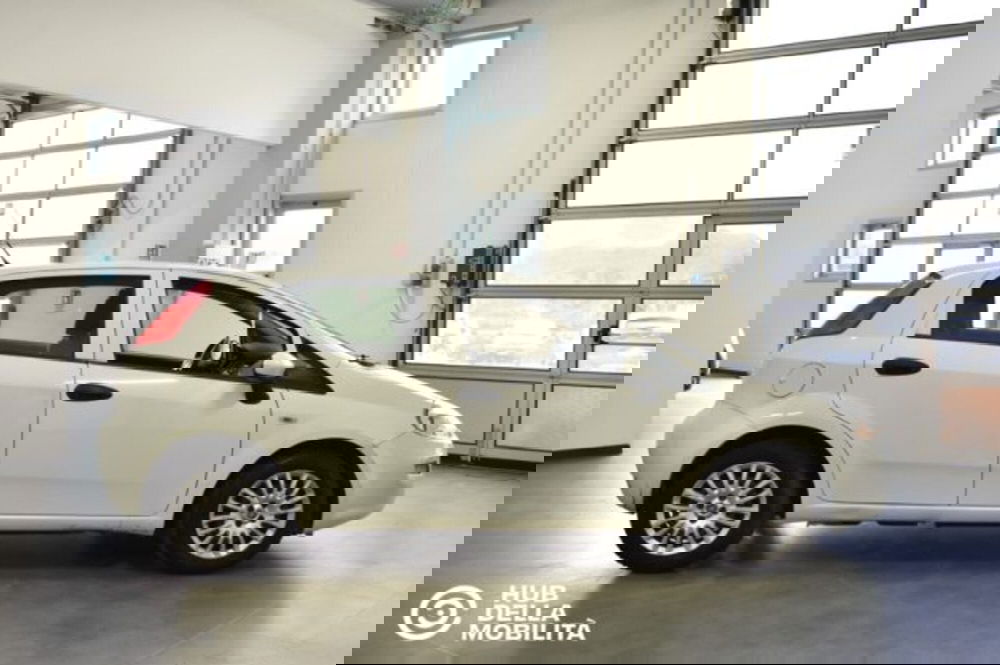 Fiat Punto usata a Perugia (6)