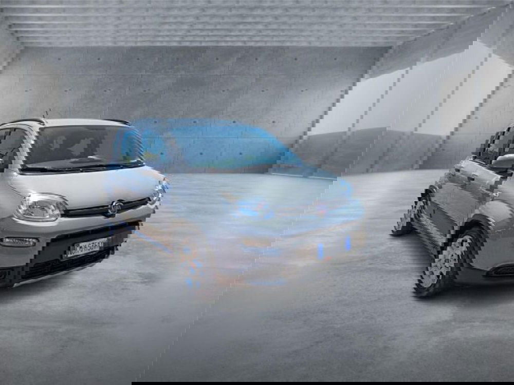 Fiat Panda usata a Bari