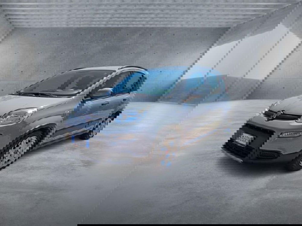 Fiat Panda usata a Bari (3)