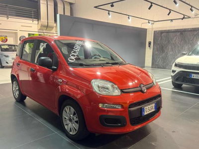 Fiat Panda 1.2 Easy del 2016 usata a Vercelli