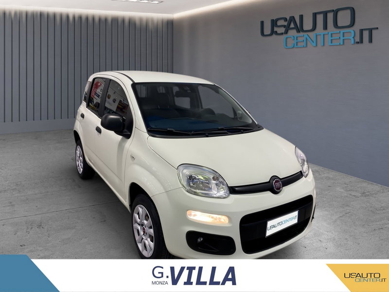 Fiat Panda usata a Monza e Brianza (2)