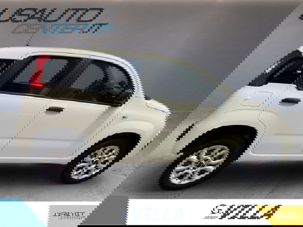Fiat Panda usata a Monza e Brianza (3)