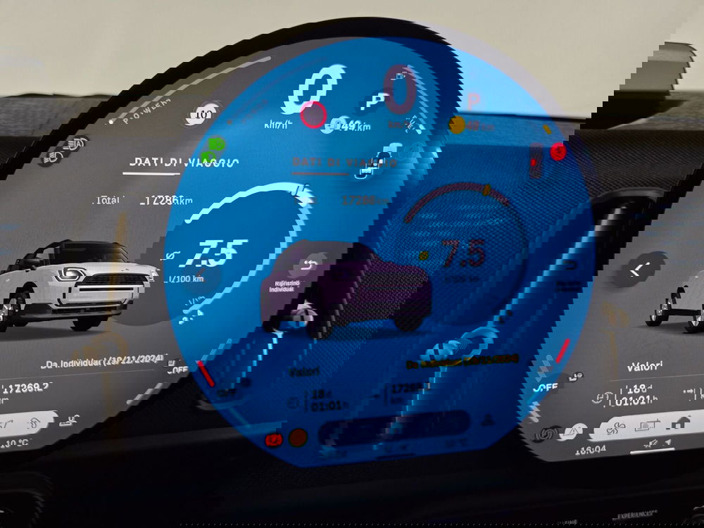 MINI Mini Countryman usata a Torino (15)