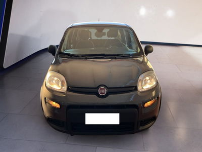 Fiat Panda 1.0 firefly hybrid s&amp;s 70cv 5p.ti del 2023 usata a Torino