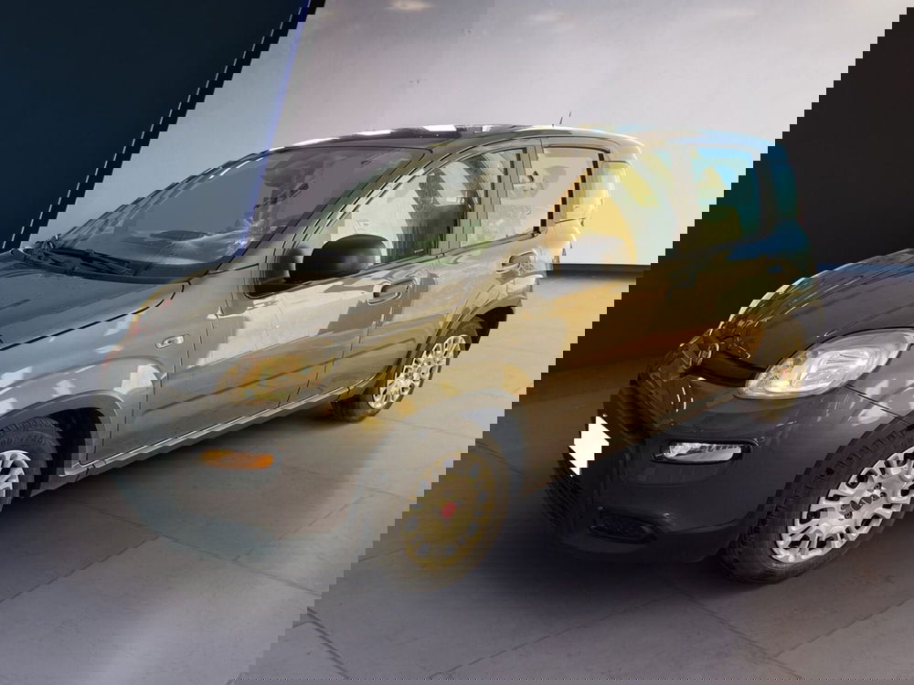 Fiat Panda usata a Torino (2)