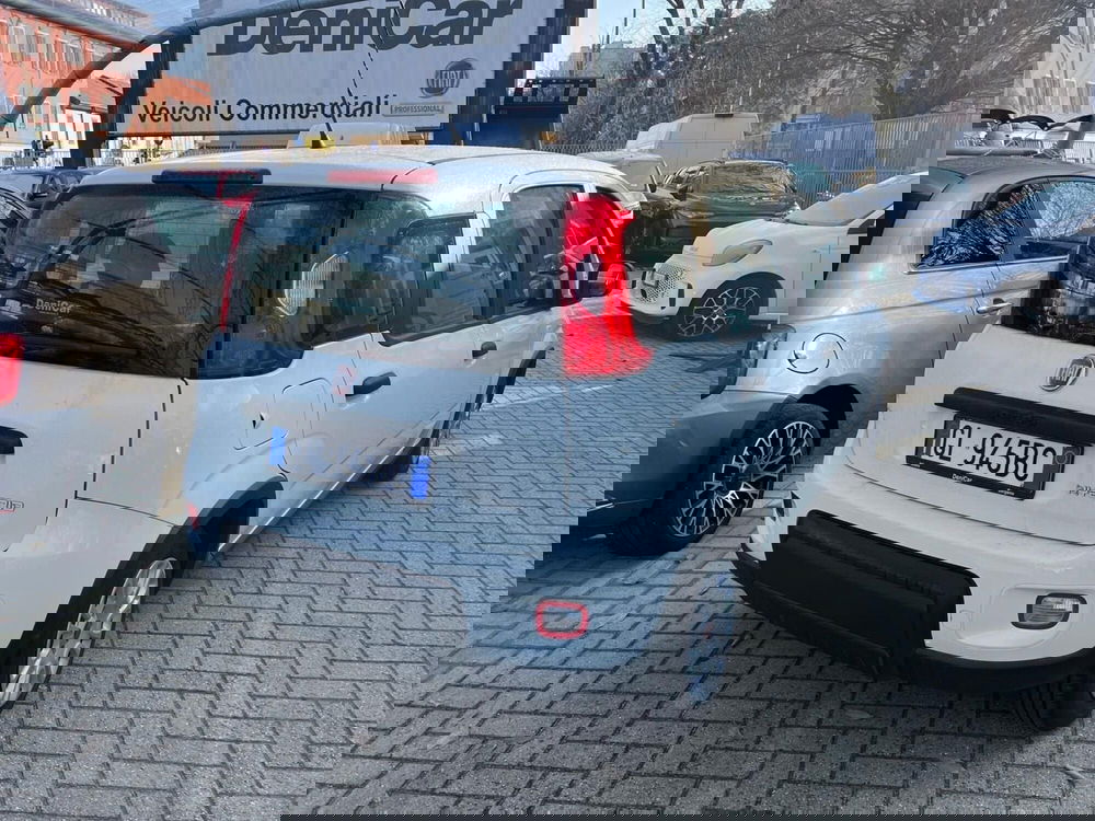 Fiat Panda usata a Milano (8)