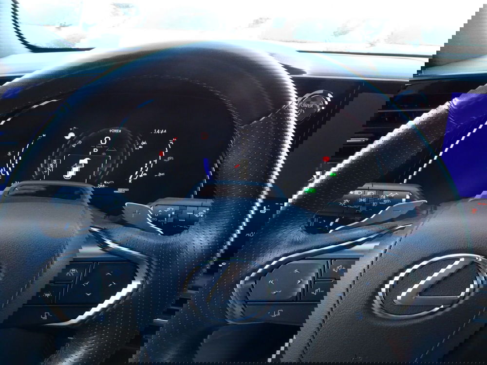 Lexus RX usata a Treviso (19)