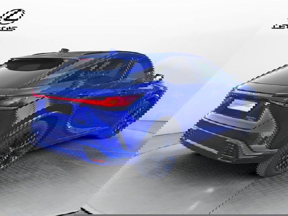 Lexus RX usata a Treviso (7)