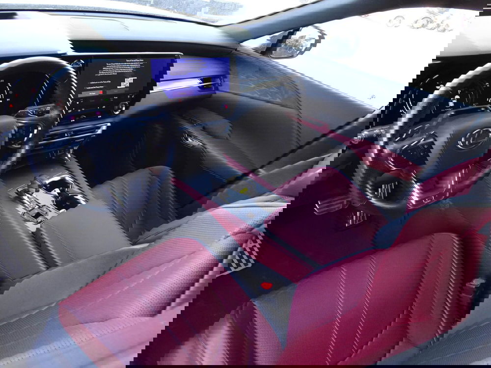 Lexus RX usata a Treviso (9)