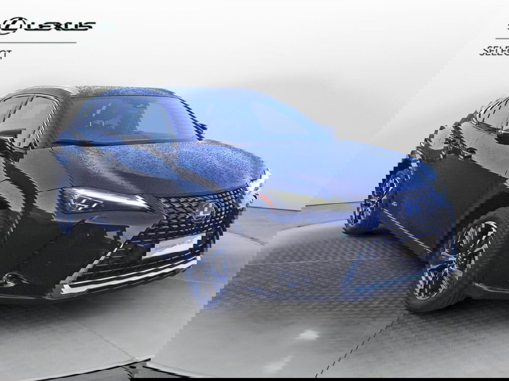 Lexus UX usata a Treviso (3)