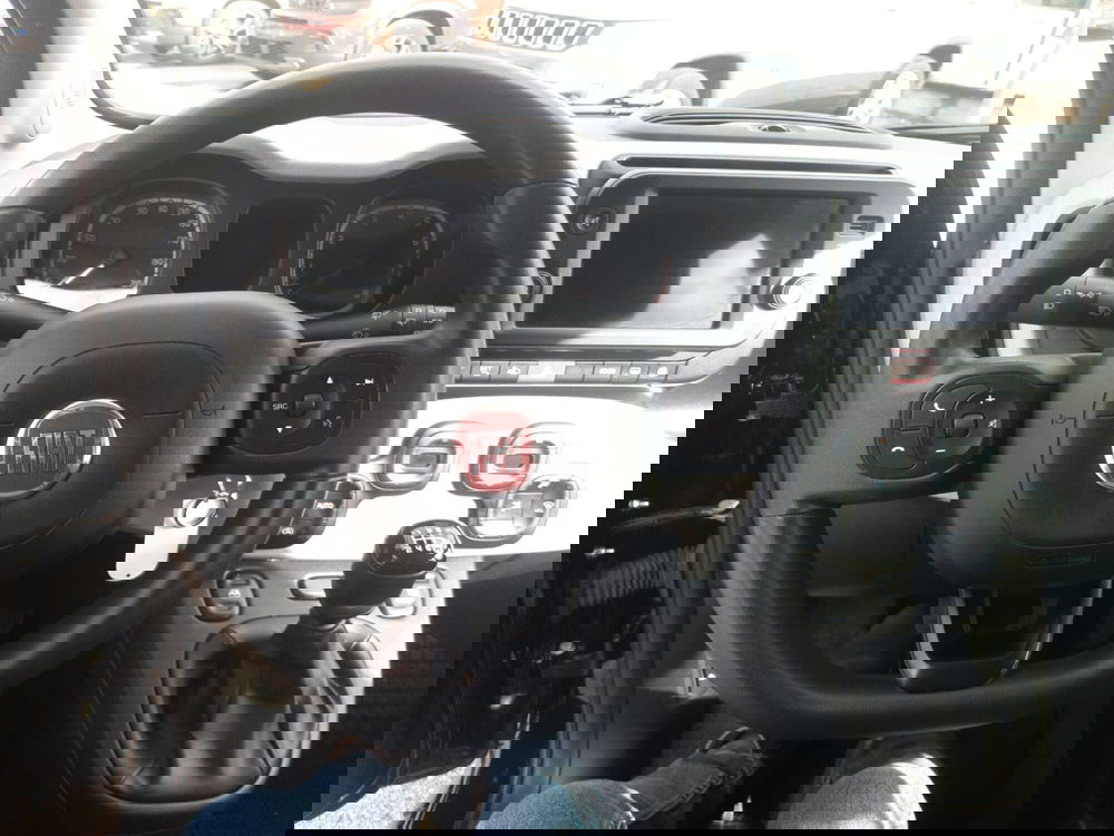 Fiat Panda usata a Campobasso (18)