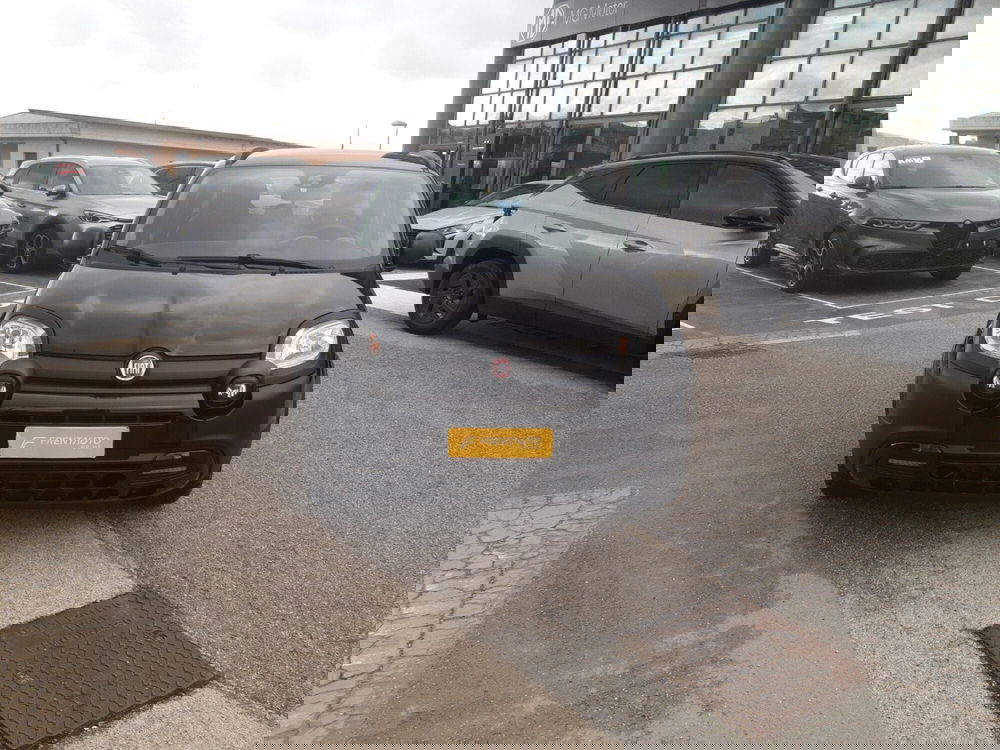 Fiat Panda usata a Campobasso (5)