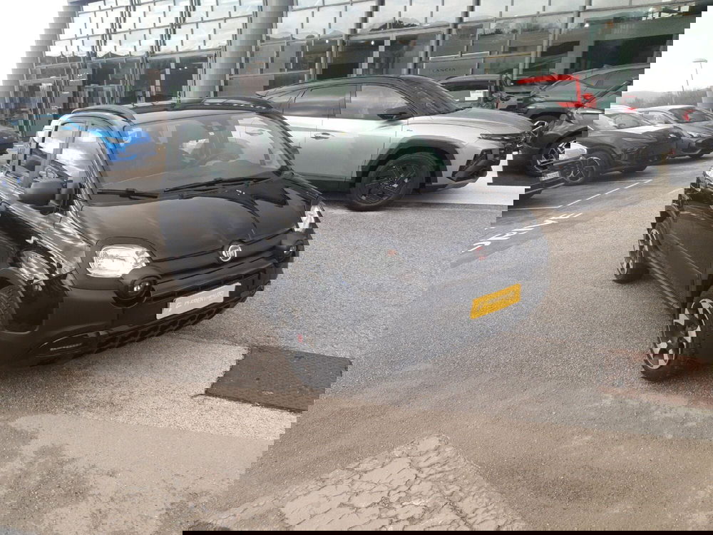 Fiat Panda usata a Campobasso (8)