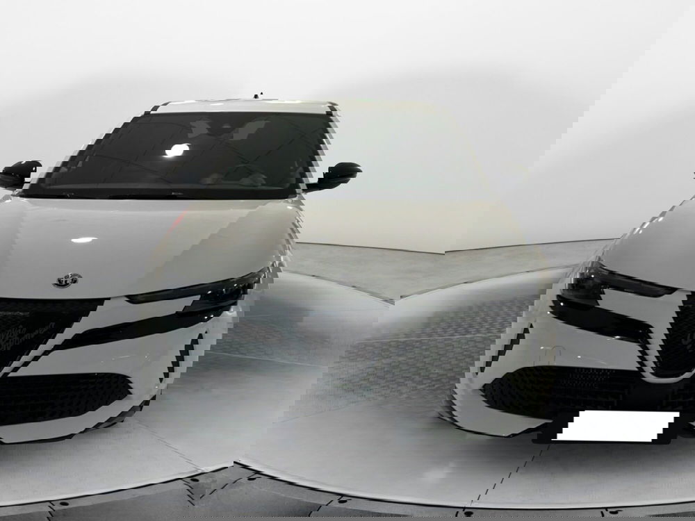 Alfa Romeo Junior nuova a Pisa (2)