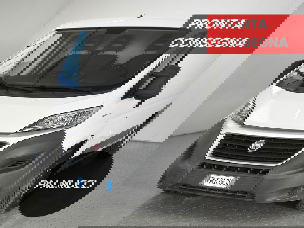 Fiat Ducato Furgone usata a Prato
