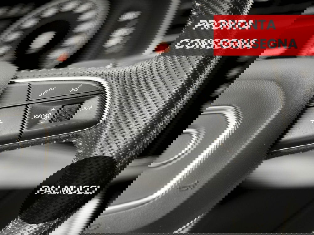 Audi Q8 usata a Prato (17)