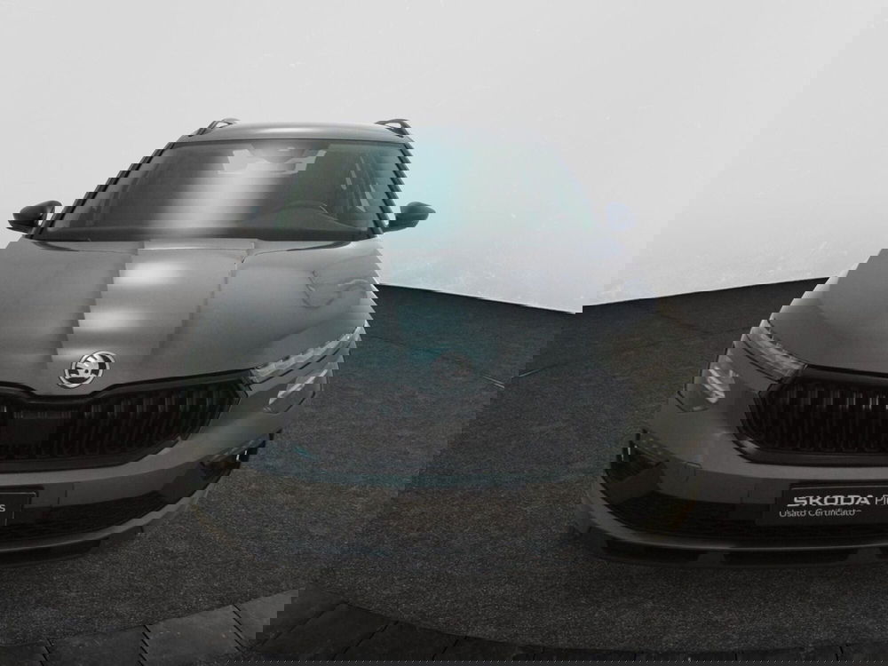 Skoda Kamiq usata a Torino (2)