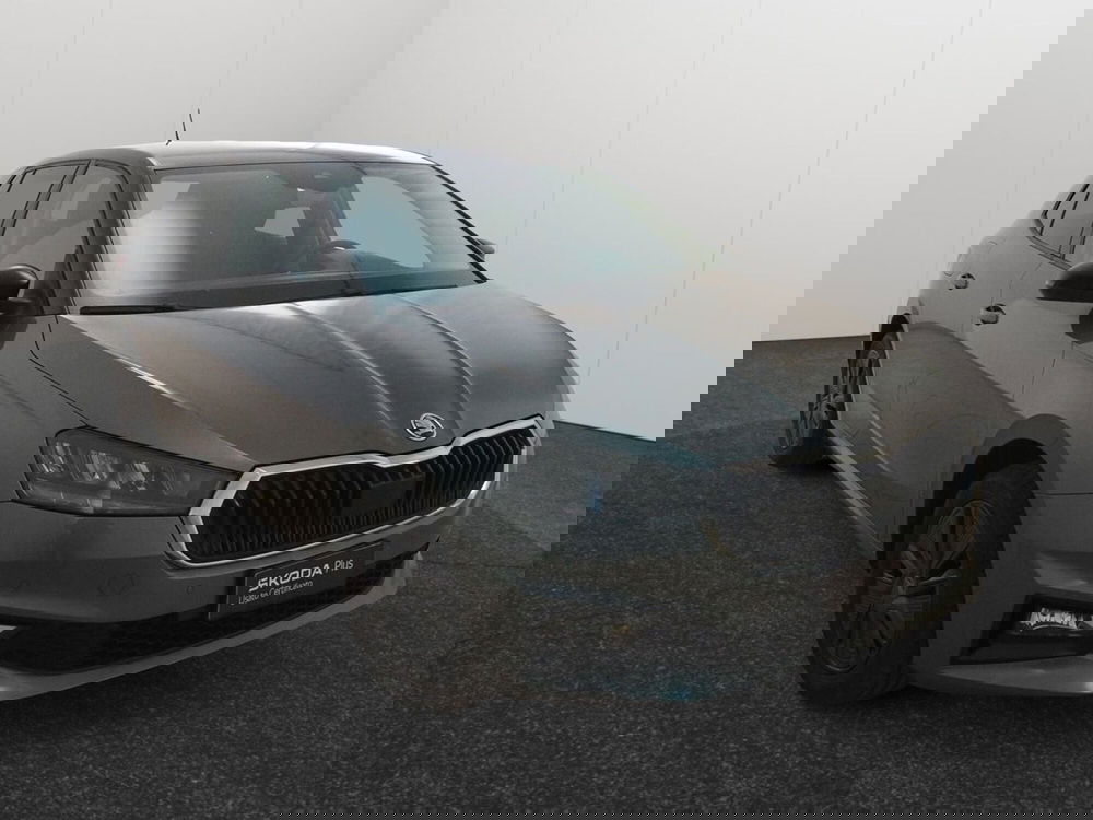 Skoda Fabia usata a Torino