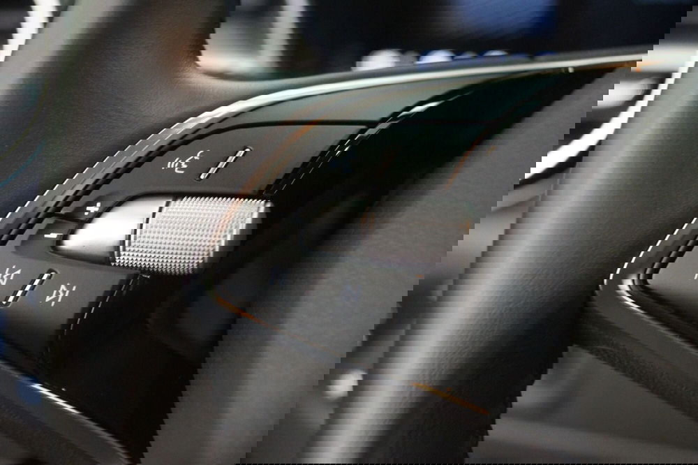 Skoda Fabia usata a Torino (13)