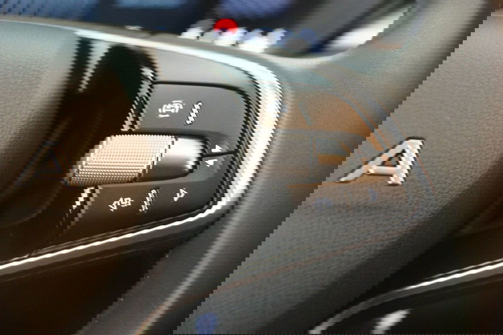 Skoda Fabia usata a Torino (14)