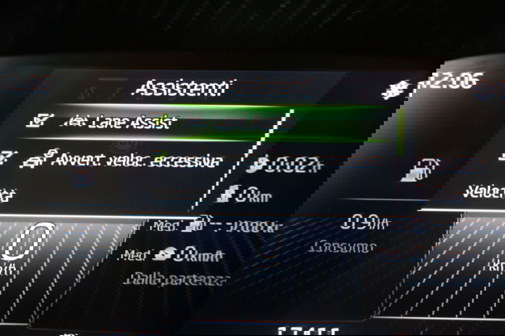 Skoda Fabia usata a Torino (15)