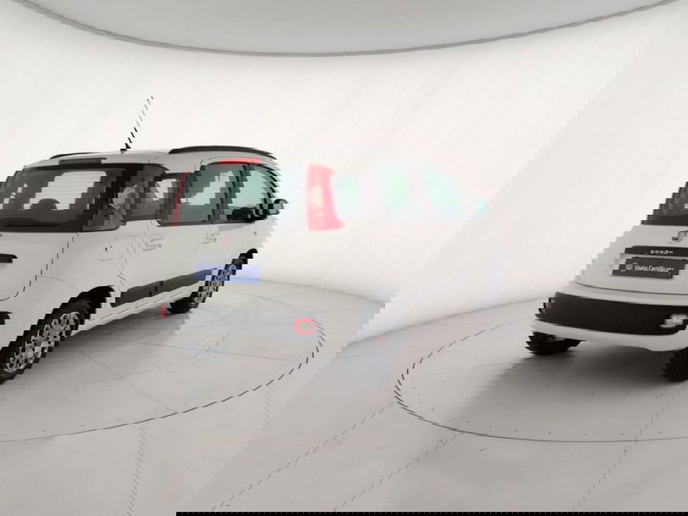 Fiat Panda usata a La Spezia (3)